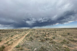 Plains in the Oklahoma panhandle