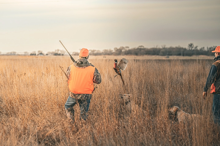River Lodge Pheasants