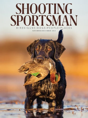 november/december 2025