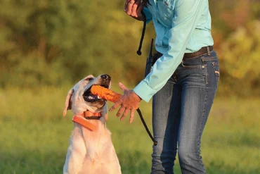 things trainers hate